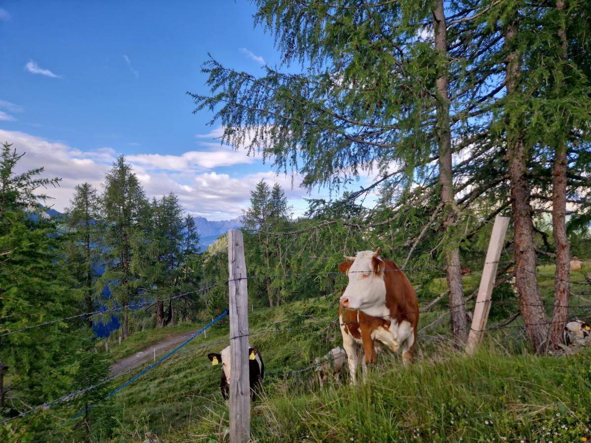Almgasthaus Glocknerblick Großkirchheim Extérieur photo